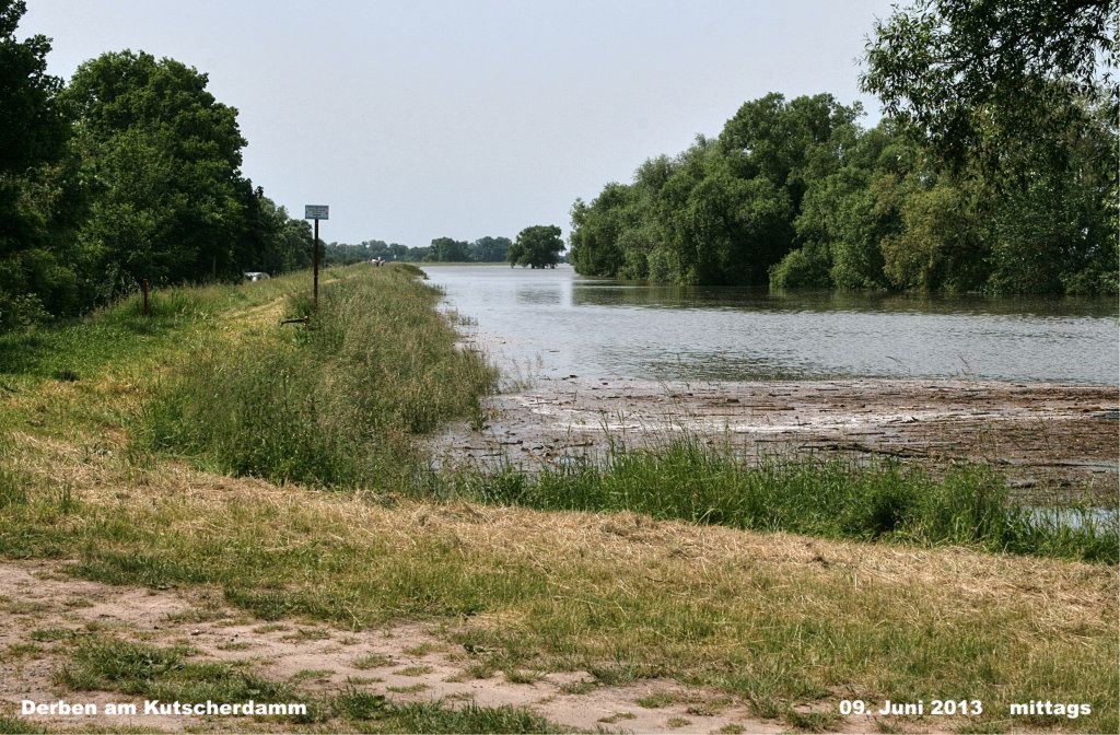 Hochwasser- 2013_06_09-011-Derben.jpg